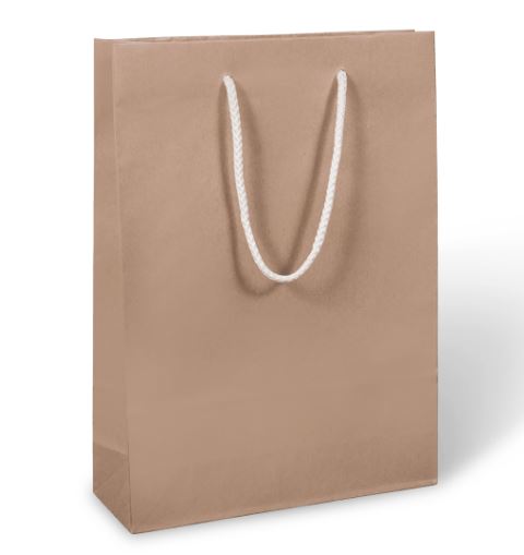 Triple Rope Handle Kraft Wine Carry Bag BDL 10 Packaging Products