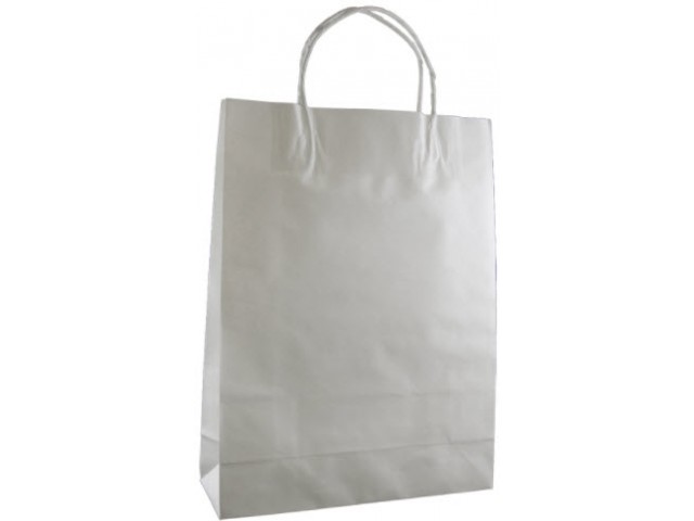 Twist Handle Paper Bag WHITE Carton/250