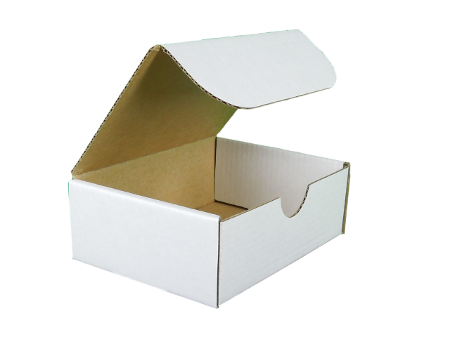 Rectangle Hinged Lid Cardboard Box - Size: 100x75x37
