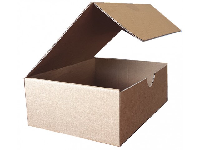 Brown Rectangle Hinged Lid Cardboard Box - Size: 250x185x92