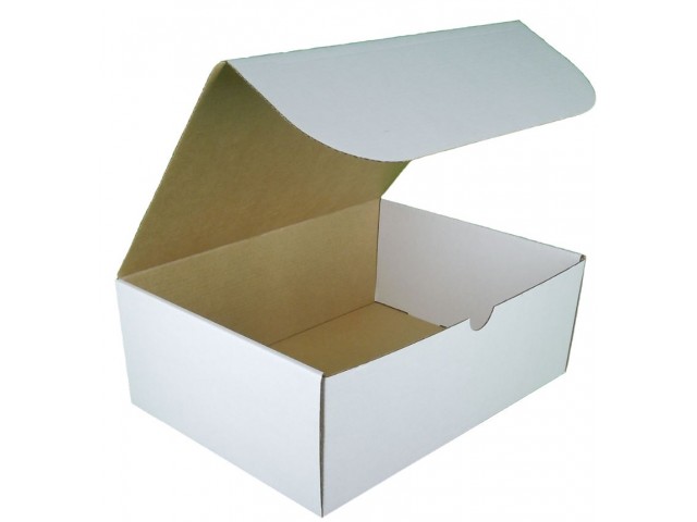 Rectangle Hinged Lid Cardboard Box - Size: 250x185x92