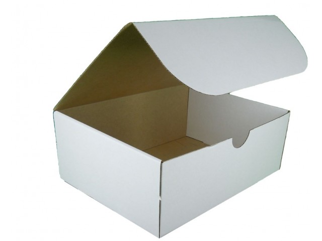 Rectangle Hinged Lid Cardboard Box - Size: 275x206x103