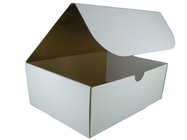 Rectangle Hinged Lid Cardboard Box - Size: 300x225x113