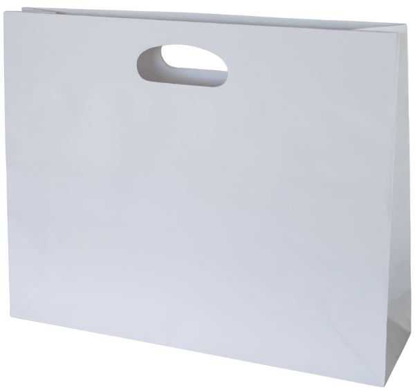 Die Cut Bag MED 380x300 White Landscape › Packaging Products