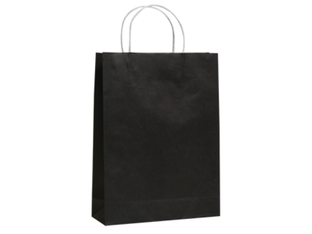 Small BLACK Twist Handle Paper Gift Bags Bundle/10