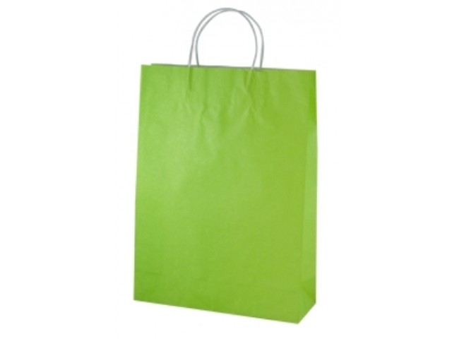Twist Handle Paper Bag LIME Carton/250