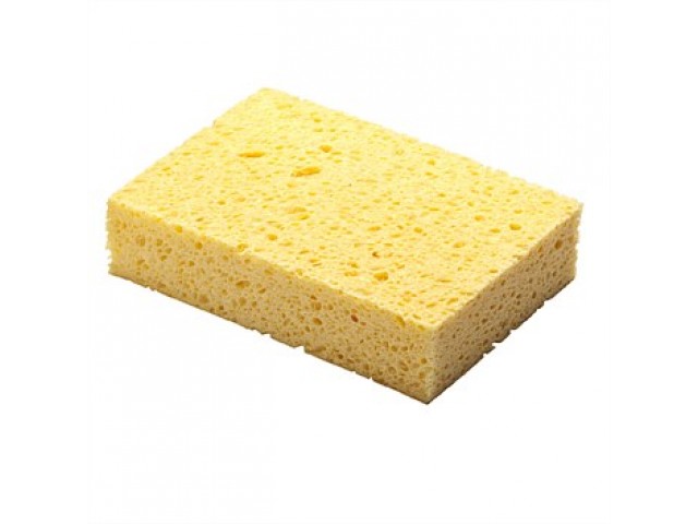 Sponges Triple Pack